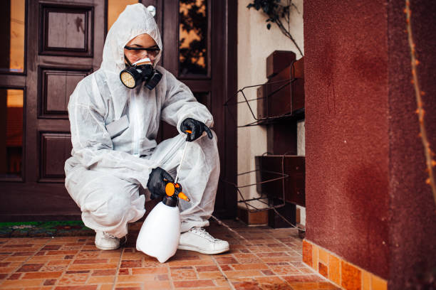 Reliable Bed Bug Control contractor in Woods Cross, UT by Nex Pest Control